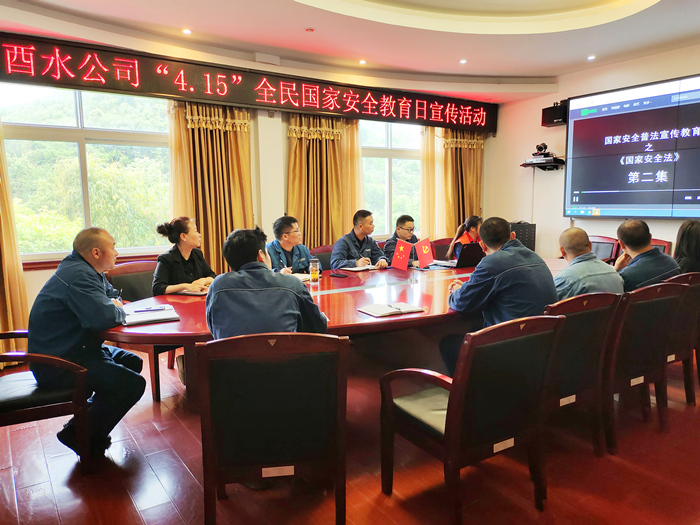 新能源酉水公司開展“4.15”全民國家安全教育日活動 田晉秋 攝_副本.jpg