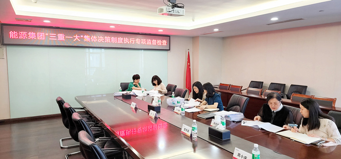 集團專項組督查新能源公司“三重一大”集體決策制度執行情況 劉滿江 攝_副本.jpg